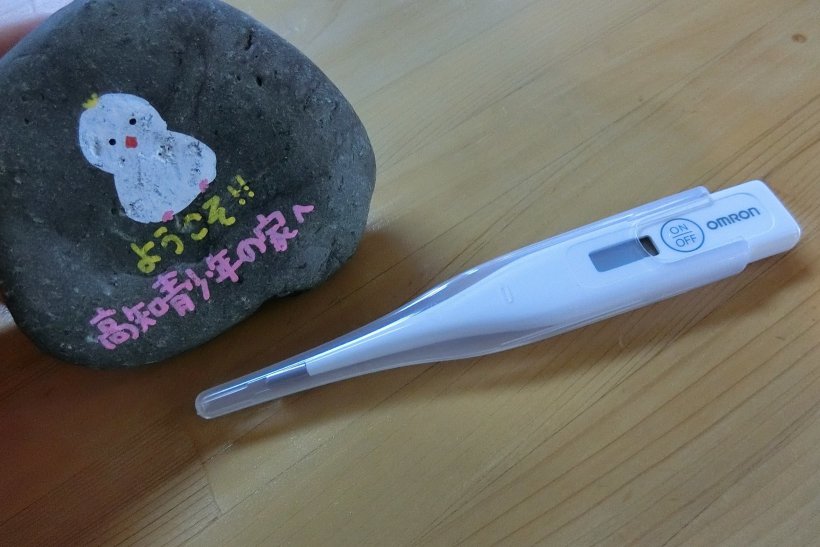 体温計とストーンペイントの写真