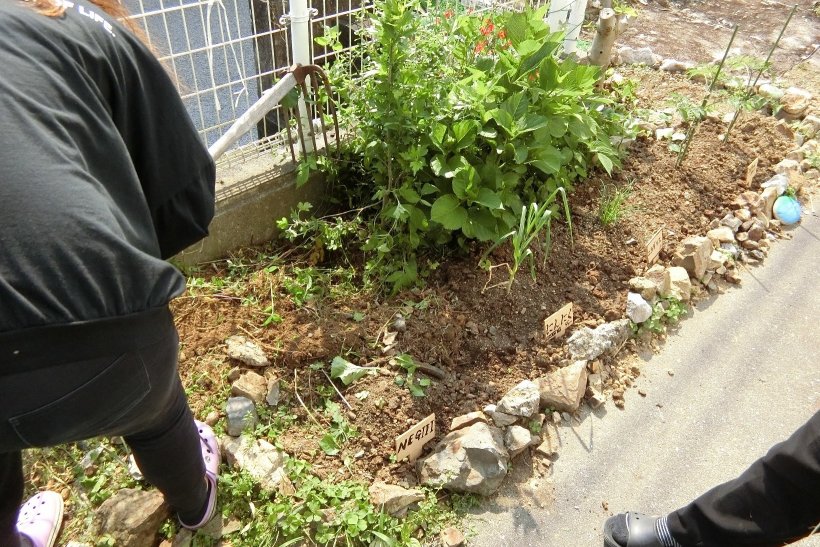 青少年の家　畑の整備中の写真