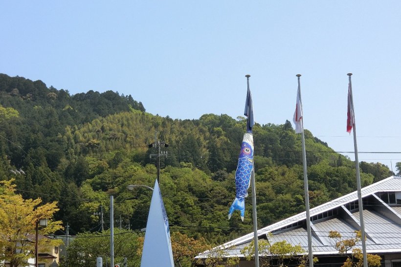 旗と一緒に風でなびく青いこいのぼり