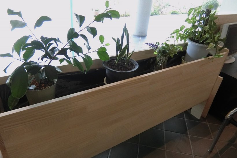 手作りの棚に置いてある植木