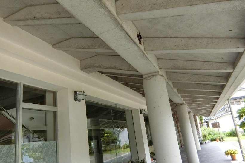 遠くからの燕の巣