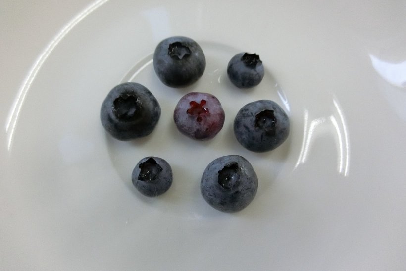ブルーベリーの実