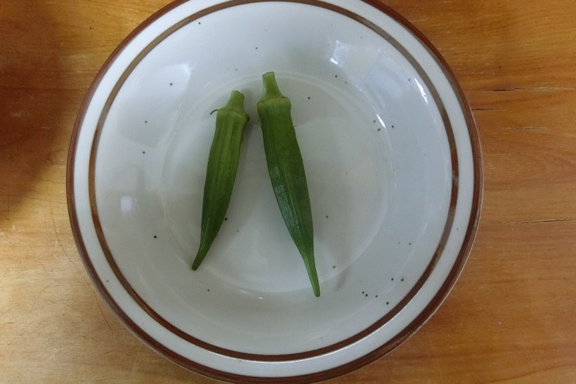 オクラの写真