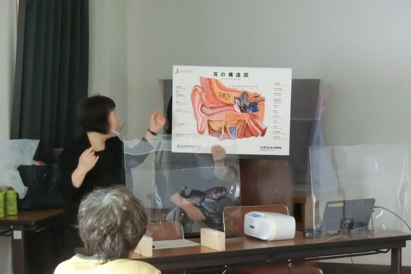 耳の仕組みについて　写真