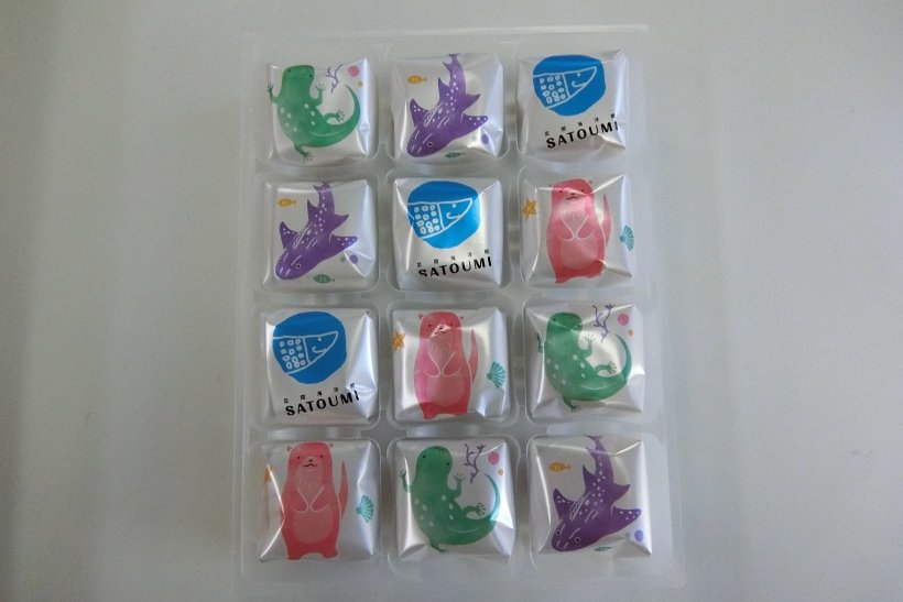 差し入れの写真