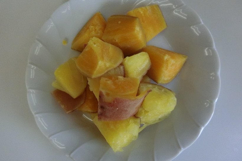 試しに掘ったさつまいも