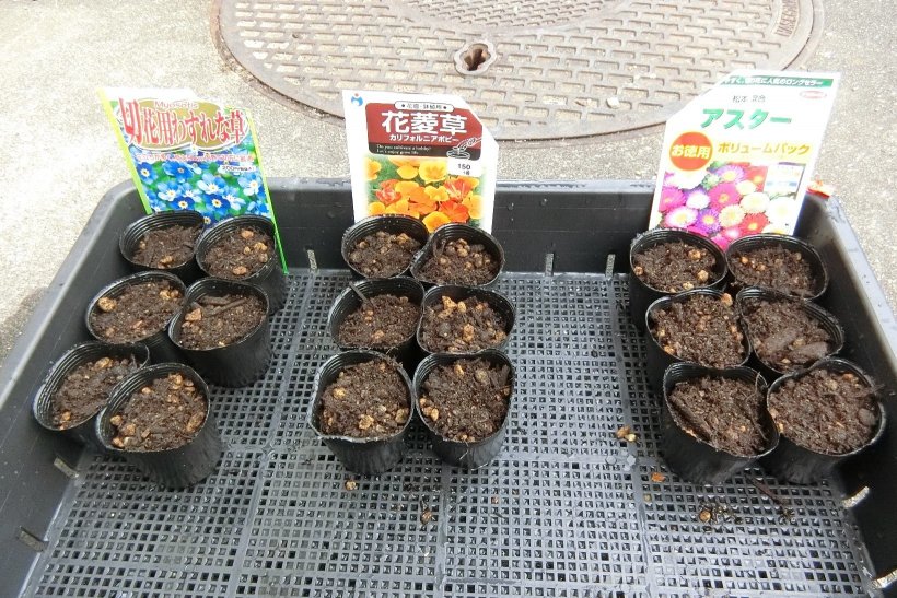 花の種を植えたセル