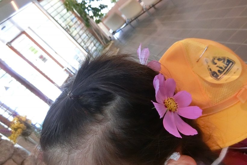 お花を髪に飾った女の子の写真