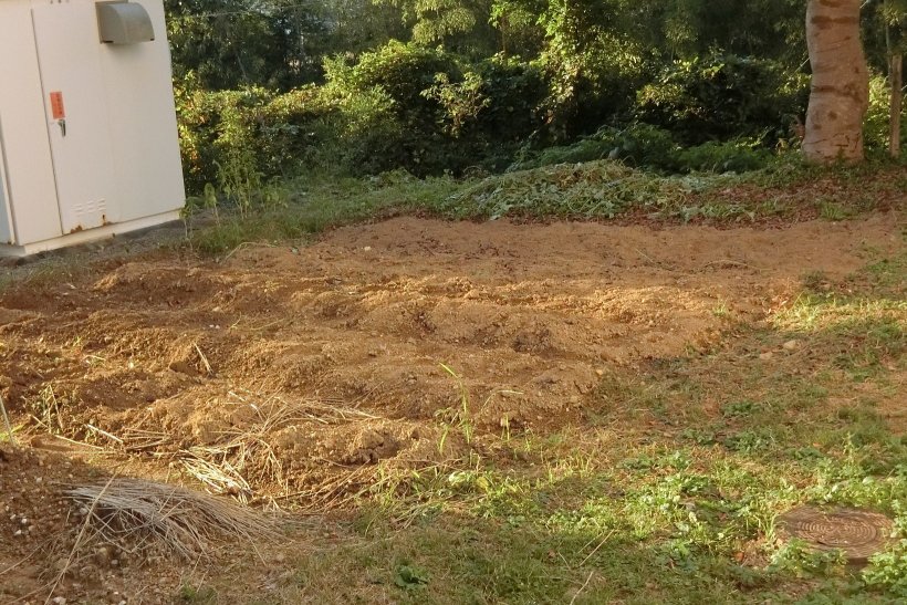 お芋を掘った後の畑