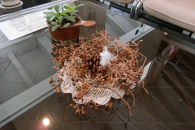 草木に囲まれた松ぼっくり羊