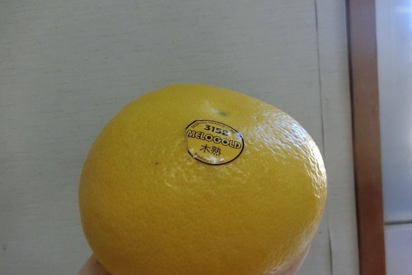 アメリカのぶんたん