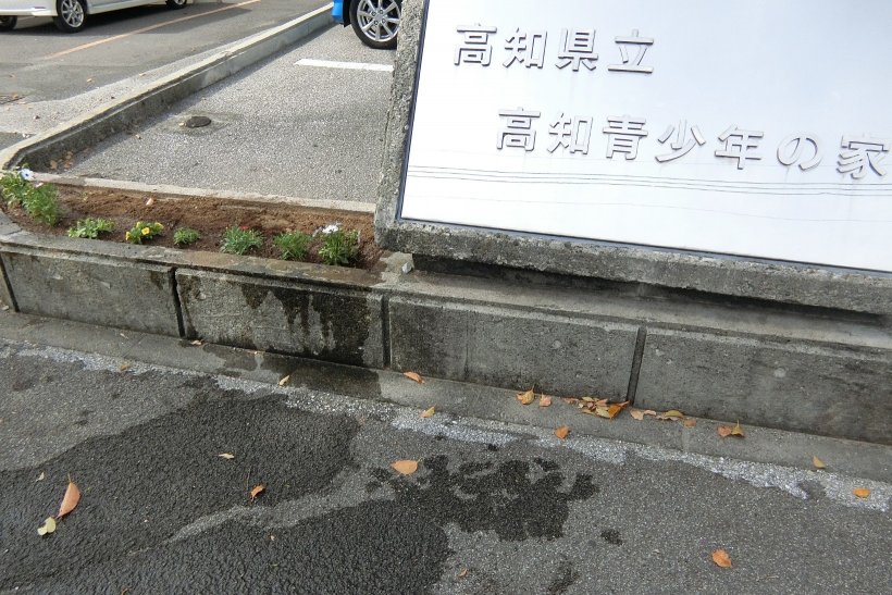 駐車場前の花壇の写真