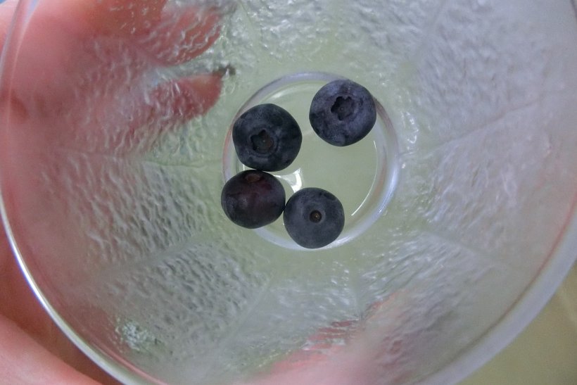 ブルーベリーの写真