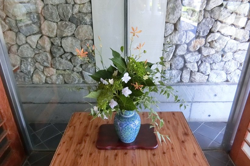 アジサイとヒオウギの花