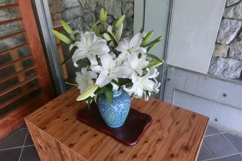 カサブランカの花