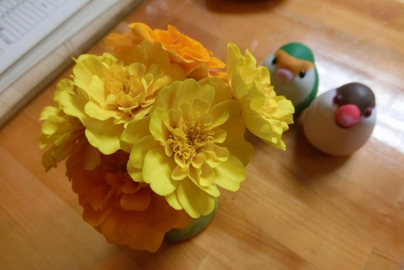 マリーゴールド写真