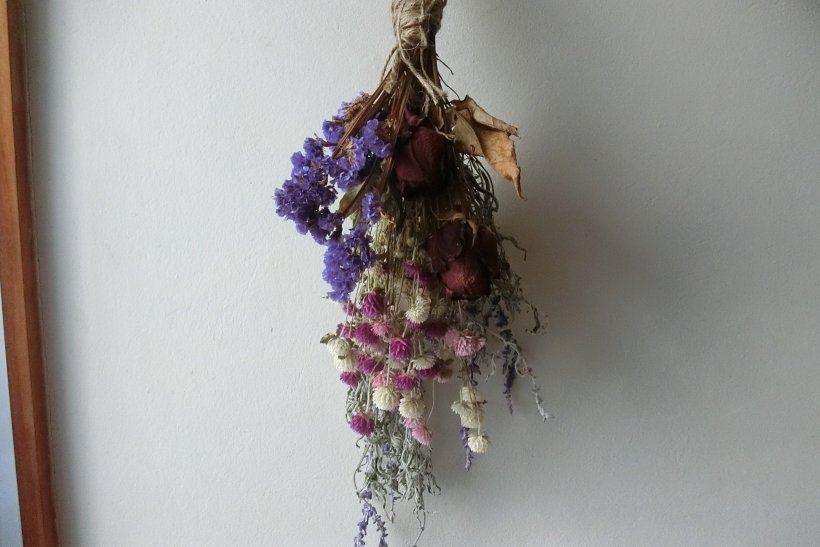 千日紅のドライフラワー