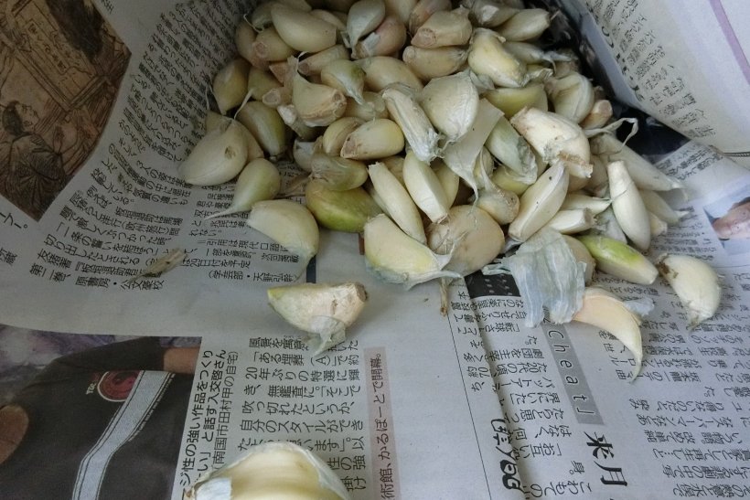 にんにくの