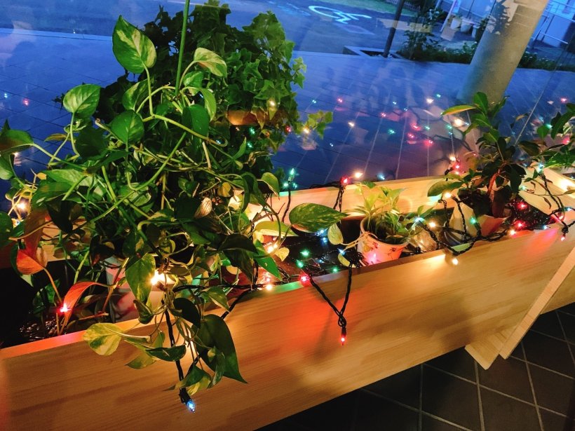 イルミネーション