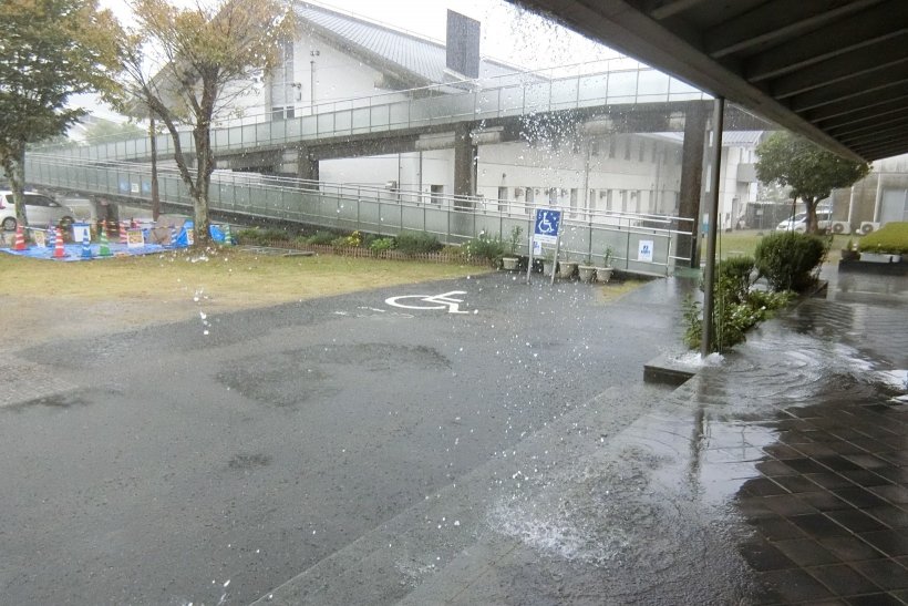 大雨の写真