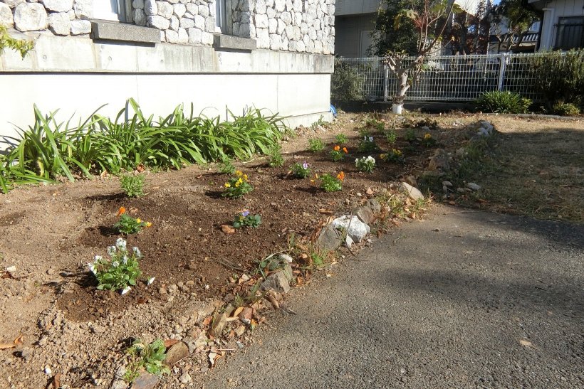 事務所前の花壇