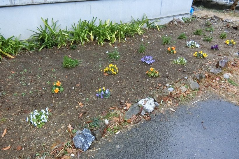 青少年の家の花壇
