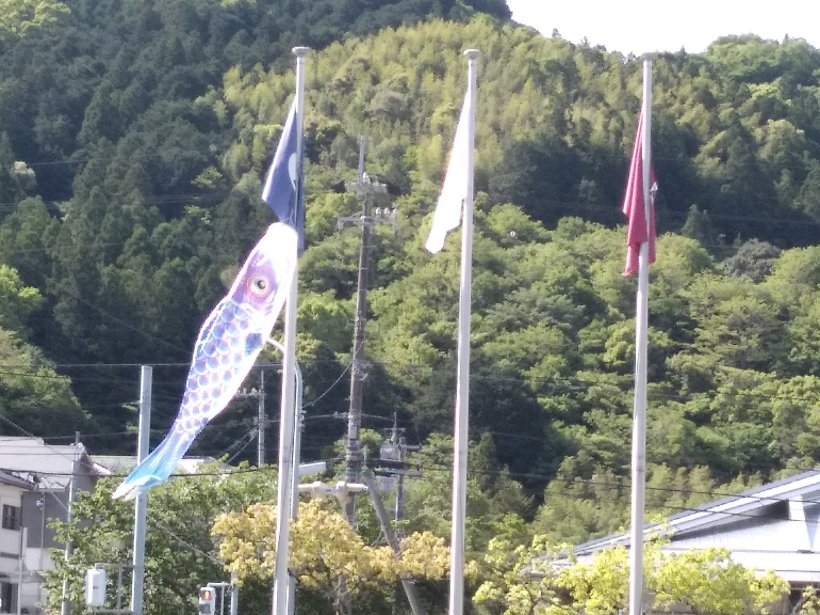 旗と鯉のぼり