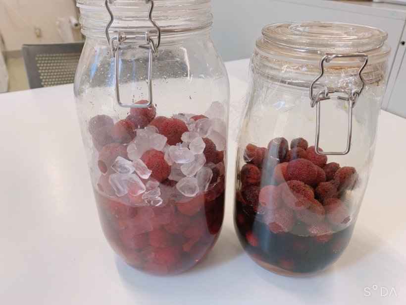 やまもものシロップ