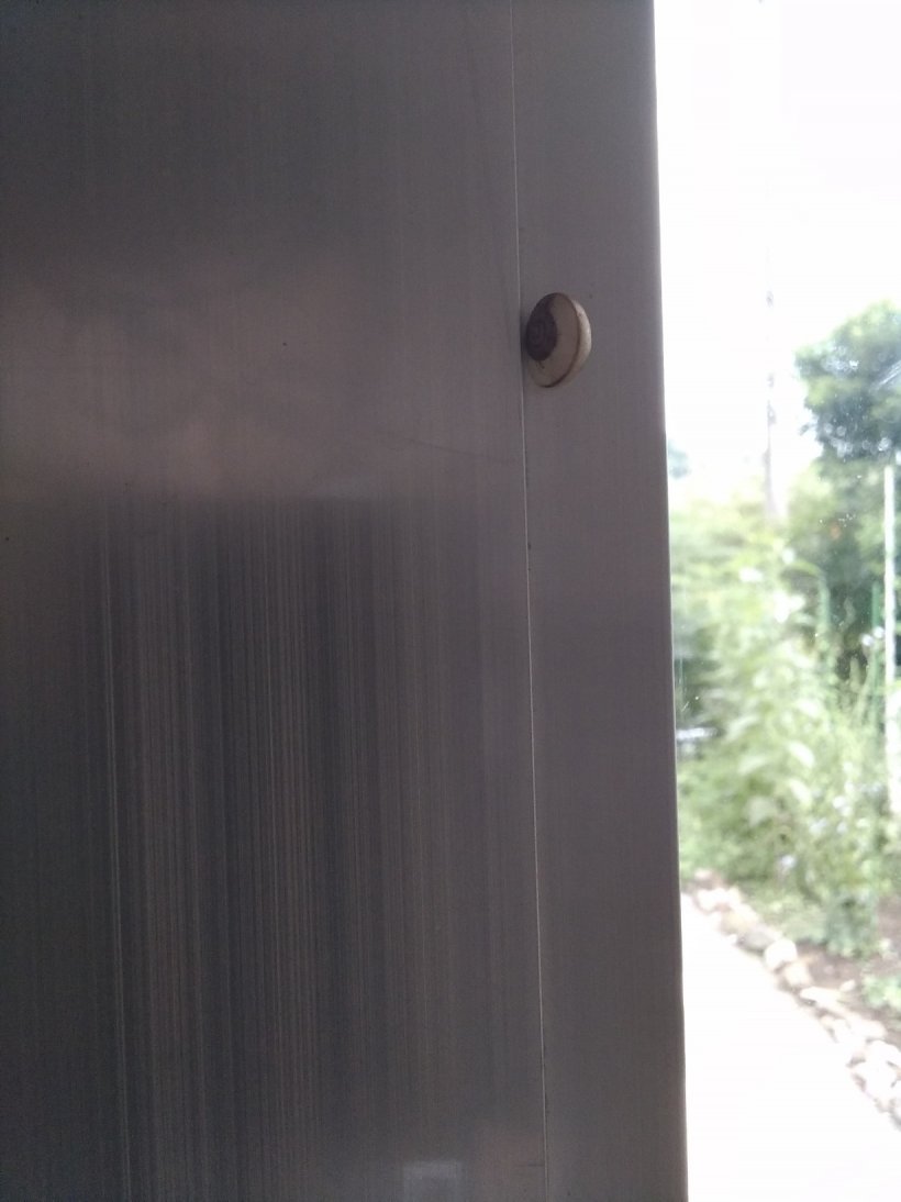 ドアに引っ付いているカタツムリさん