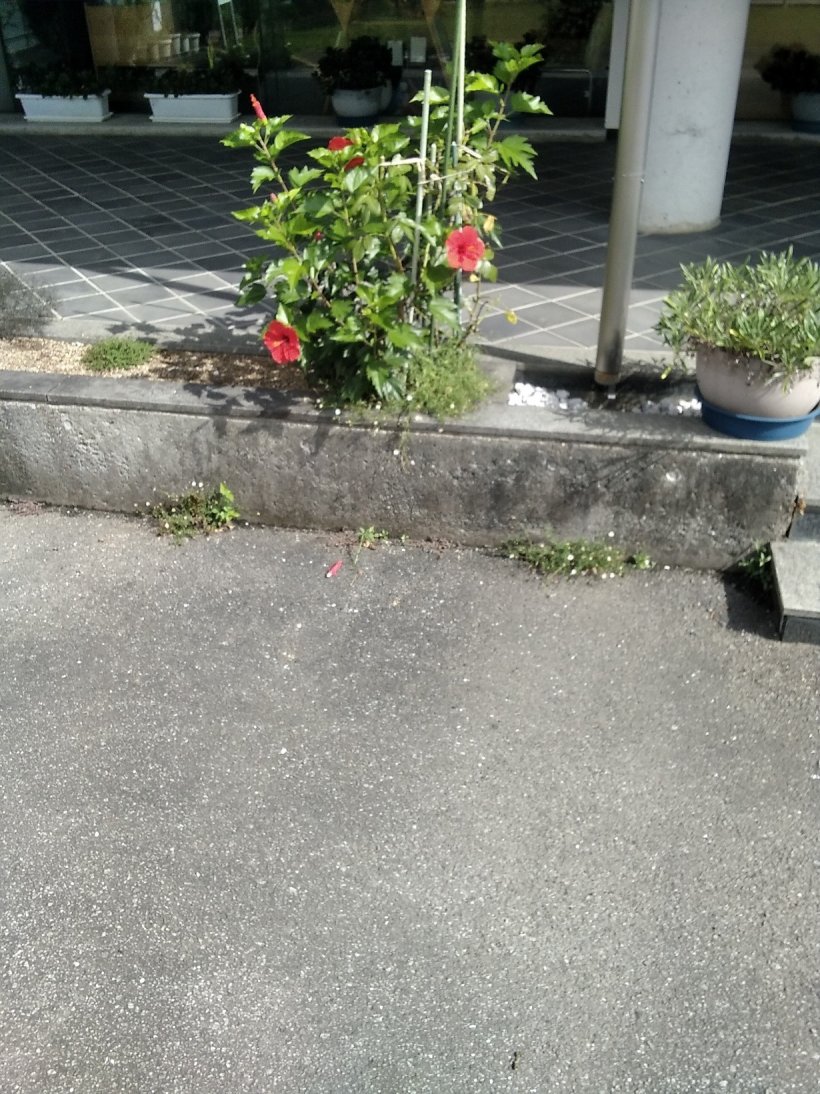 今日は暑くなりそうな1日