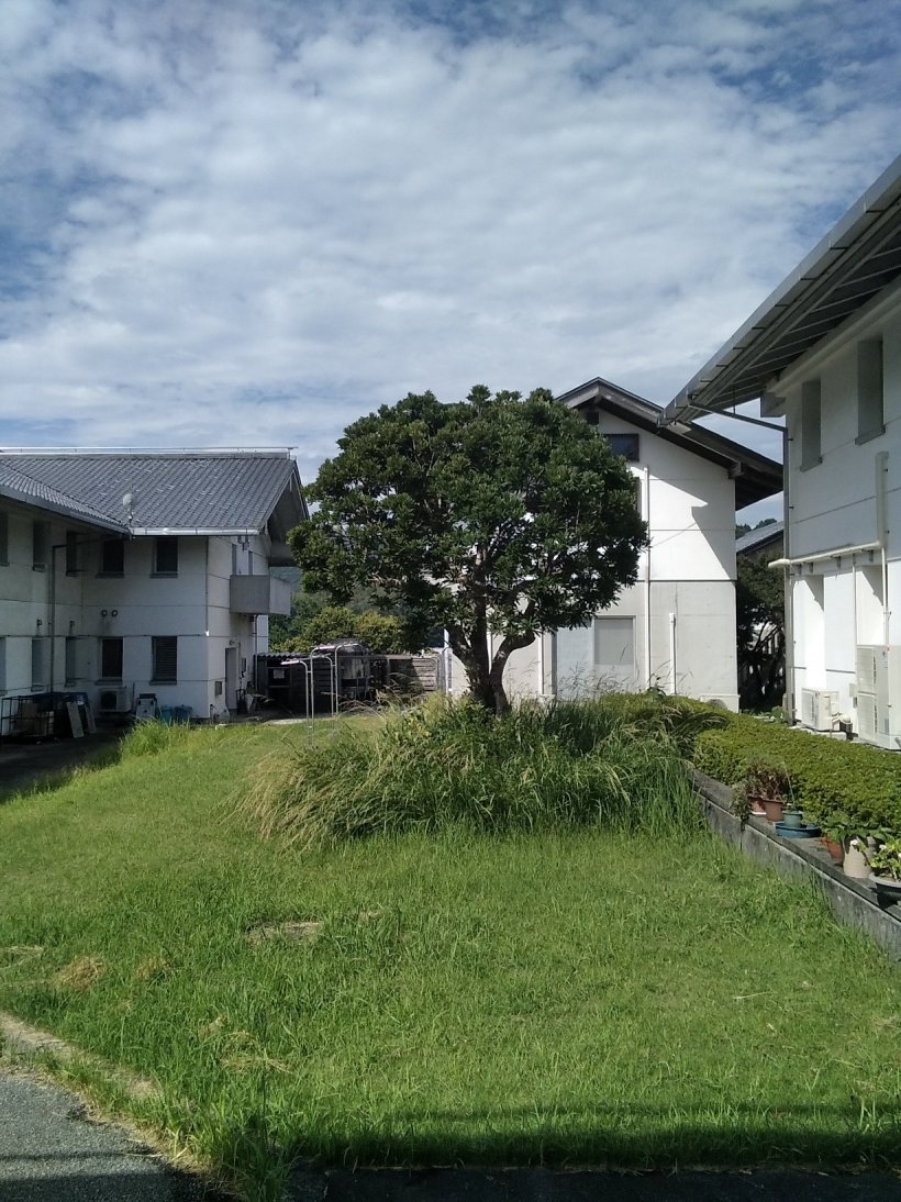 今日も不安定な天気