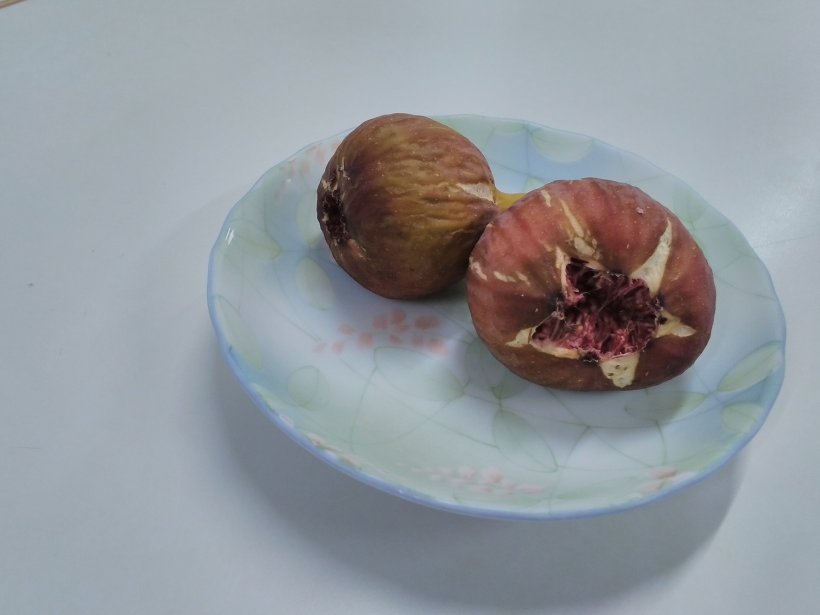 無花果