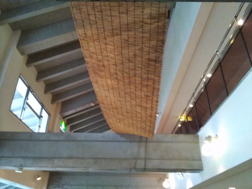 ロビーｽﾀﾞﾚ