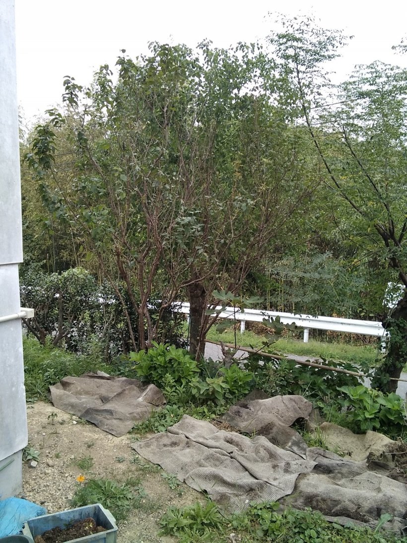 変わりやすい天気