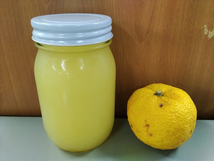 柚子と瓶入った果汁
