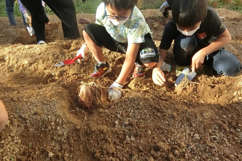 お芋を掘っている2人