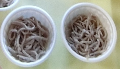 器に入ったそば