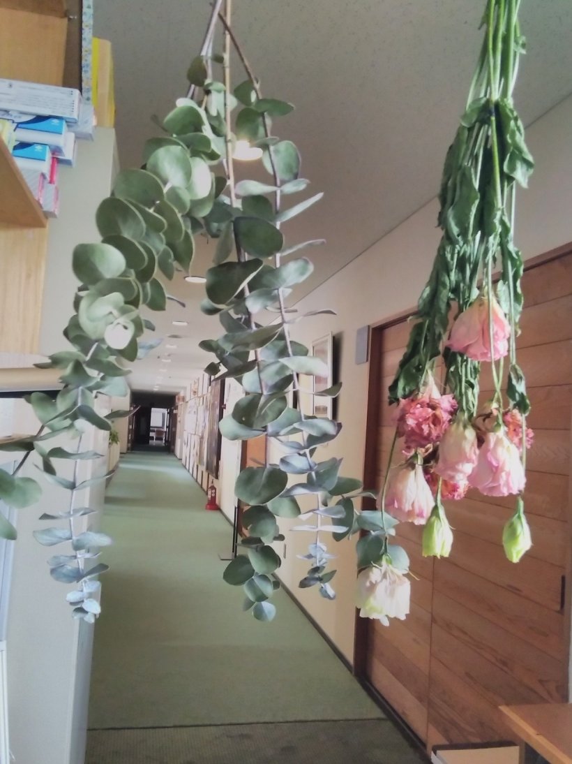 つり下げた花たち