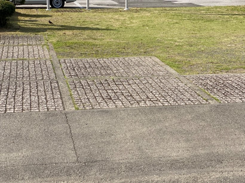 草を刈った駐車場