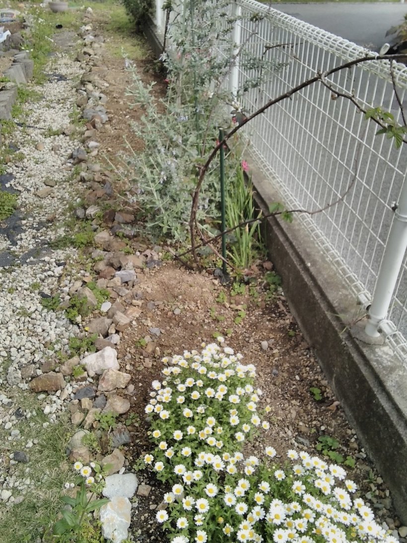 花壇と砂利と木