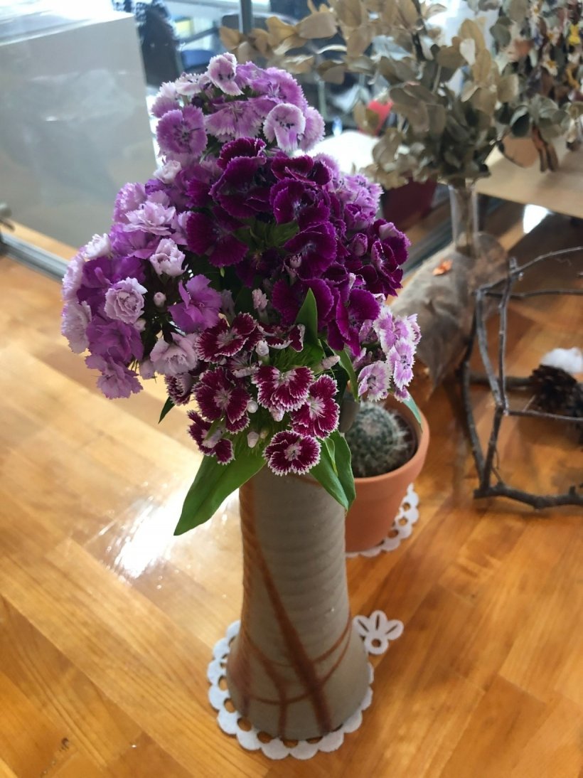 花瓶に飾られた撫子