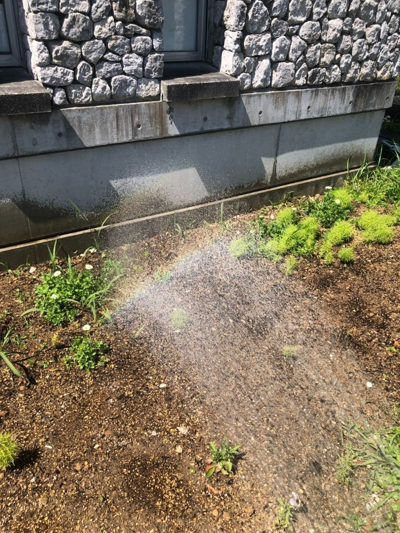 水やりの時に見える虹