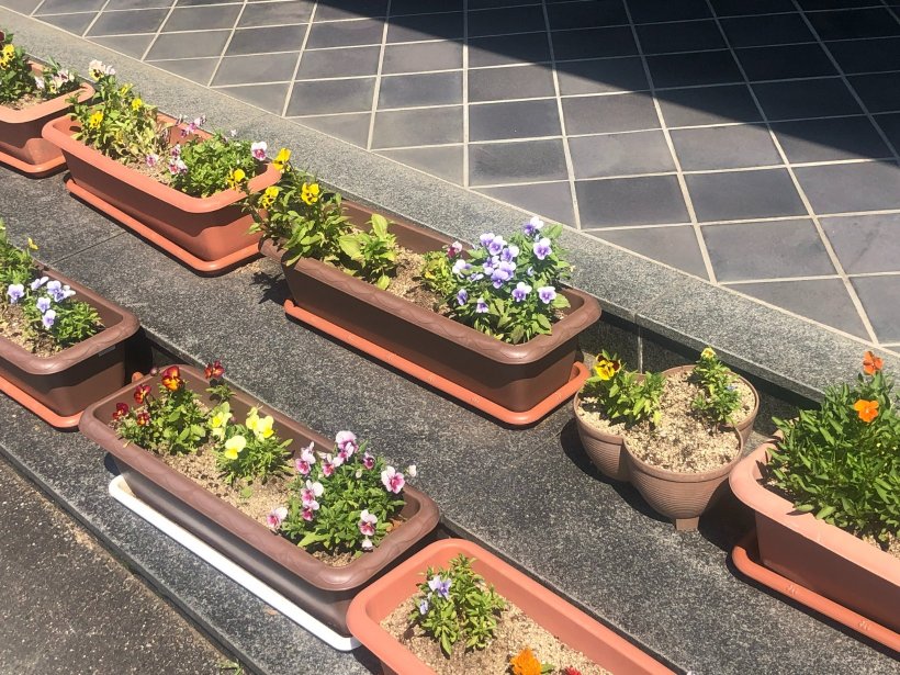 プランターに植えられた花壇が並んでいる