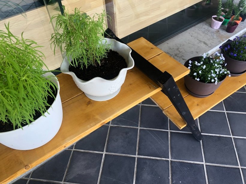 台の上に乗った鉢植え