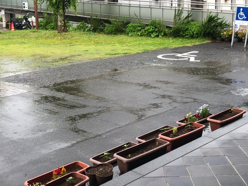 雨の降るアスファルト