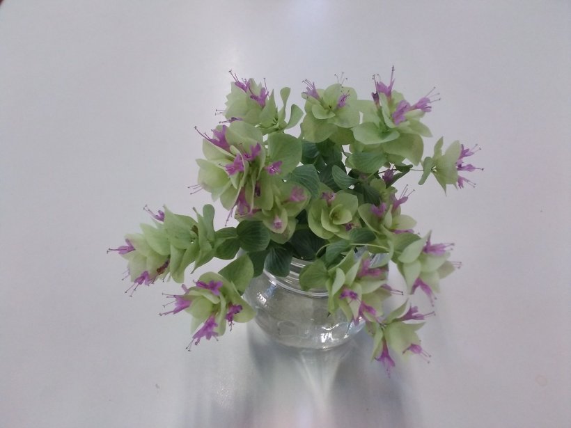 ビンにはいったオレガノの花