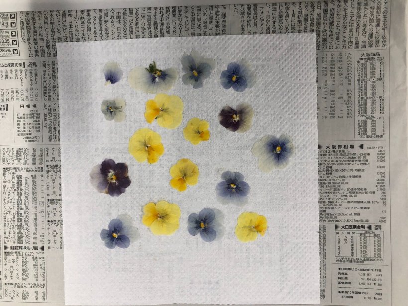 新聞の上に乗った押し花