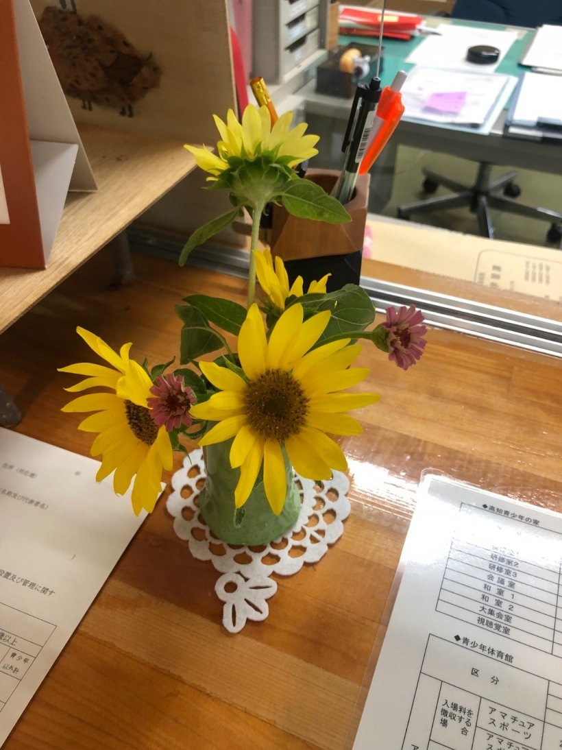 窓口のひまわり