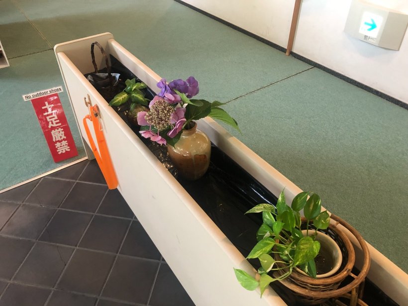 花瓶に飾られたアジサイ