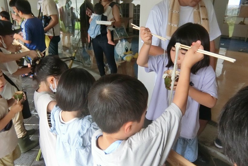 そうめんがとれました